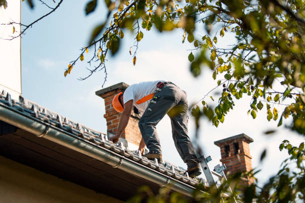 Best Flat Roof Repair Services  in Viroqua, WI