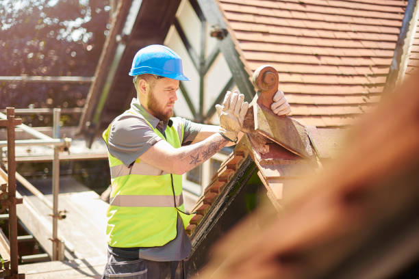 Best Roof Gutter Cleaning  in Viroqua, WI