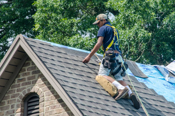 Best Shingle Roofing Installation  in Viroqua, WI
